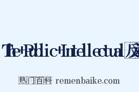 The+Public+Intellectual反义词是什么意思的图片